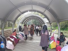 -人民公园-相亲角