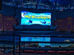 -横店影视城梦幻谷园区
