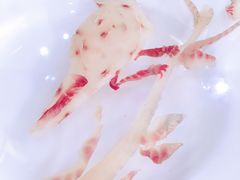 -余师傅鱼生王