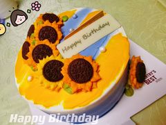 -派悦坊·甜品·蛋糕(日坛店)