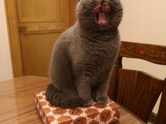 -茉沏(光启城店)