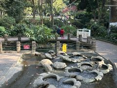 -成都市活水公园