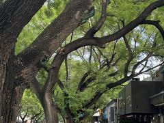 -姚记炒肝店(鼓楼店)