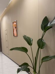 -木兰清颜医疗美容