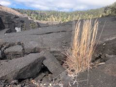 -夏威夷火山国家公园