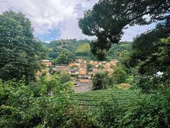-杨家堂村
