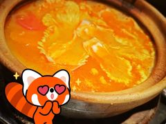 糟粕醋脆皮鸡煲-红盔甲·小龙虾(七宝宝龙城店)