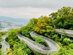 -福道