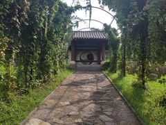 -云南民族村