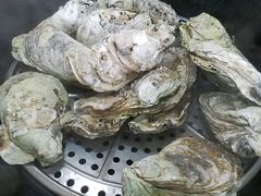 特大蒸生蚝-蚝专家(北滘店)