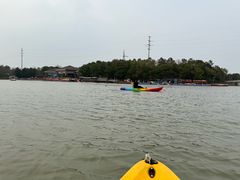 -上海海湾国家森林公园