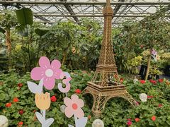 -南宫五洲植物乐园