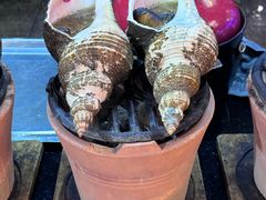 -吴记富苑(朝阳店)