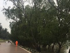 -宝安西湾红树林湿地公园