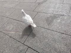 -山海广场