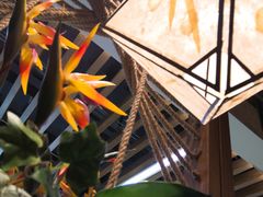 -云海肴云南菜·蒸汽石锅鱼(北京良乡华冠店)