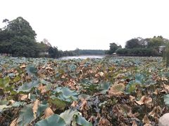 -巴山·烤全羊(高新总店)