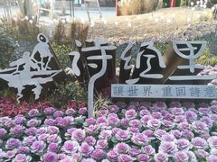 -诗经里