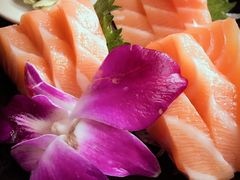 -春草居酒屋·晴子の店