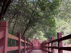 -广州白江湖森林公园