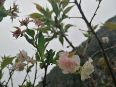 -南溪山景区