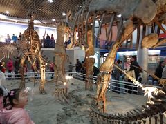 -国家自然博物馆