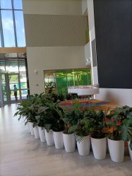 -安利上海体验馆