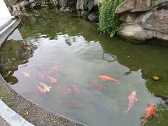 -宝荣鱼馆·临湖之宴(千岛湖店)