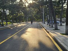 -东北大学(南湖校区)