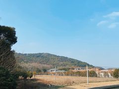 -上海佘山国家森林公园天马山园