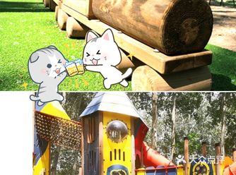 亲身体验奥林匹克森林公园