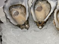 -Oyster Talks 四度蚝法餐厅