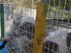 -武汉紫薇都市田园