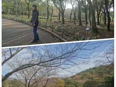 -龙头岩(Dragon Head Rock)
