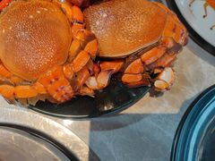 老虎蟹-五月罗马海鲜烤肉自助餐厅(印象城店)