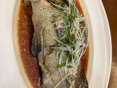 -臻宝中餐厅·大连菜·海鲜·融合菜(大连一方城堡豪华精选酒店)
