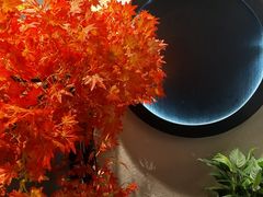 -先机®·泉水鸡汤(七星岗店)