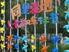 -同里国家湿地公园