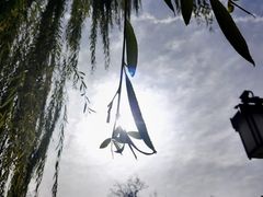 -迎泽公园