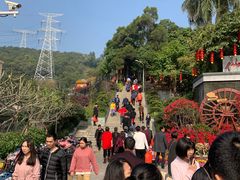 -仙岳公园