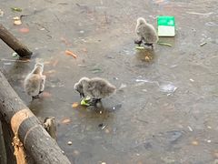 -济南野生动物世界