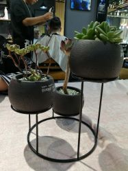 -MOVAN  HAIR莫凡匠人发型屋