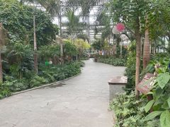 -南宫五洲植物乐园