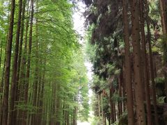 -山王坪喀斯特国家生态公园