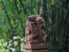 -棠湖公园