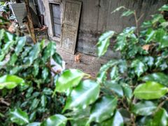 -铁路文化公园