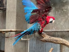 -大连森林动物园