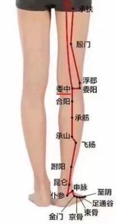 -香薇妮丝女子减肥院