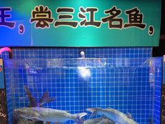 -老渔翁炖鱼坊(黄海西路东山店)