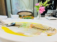 白水鱼-太湖饭店·寄畅轩中餐厅